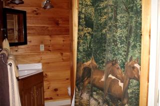 Thematic Western Suite Rental with Back Deck Access in West Virginia - Valley Head - 1