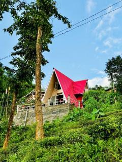 The Tea Tribe Stay - 6