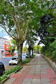 Aquí Tu Apartamento Tranquilo - Manizales - 7