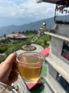 Karma homestay - Ravangla - 6