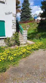 Appartement rez de jardin, proche centre ville - Font-Romeu - 6