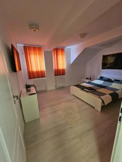 Apartament Stefan 2 - Bucarest - 0