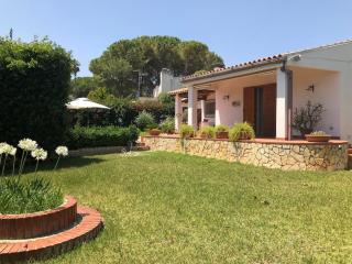 Le tre Palme - 9