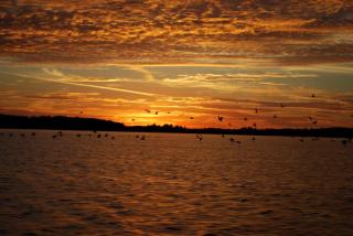 Waterfront Cabin with Amazing Sleeping Loft on Pelican Lake, Minnesota - 3