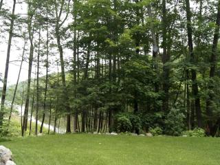 Creekside Log Cabin Rental with Kayaks in Saugerties, New York - 2