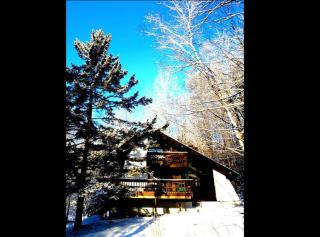 Cozy Cabin Rental with Fireplace near Killington Mountains in Vermont - 9