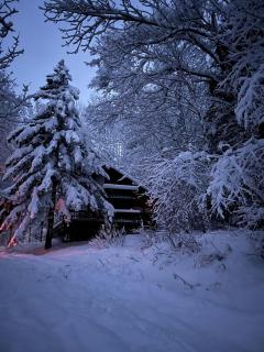 Cozy Cabin Rental with Fireplace near Killington Mountains in Vermont - 1