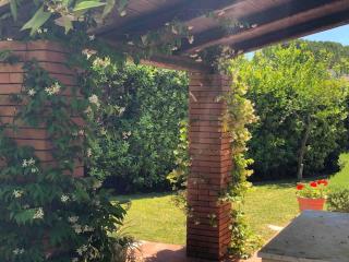 Le tre Palme - 5