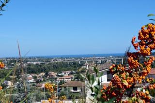 Casa dell'Olivo - Miglianico - 4