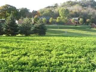 Modern Cabin Rental in Root River Valley near Lanesboro, Minnesota - 4