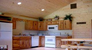 Scenic Cabin Rental Surrounded by Verdant Forest near Lanesboro, Minnesota - 9