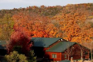Scenic Cabin Rental Surrounded by Verdant Forest near Lanesboro, Minnesota - 7
