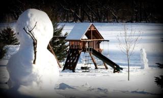Scenic Cabin Rental Surrounded by Verdant Forest near Lanesboro, Minnesota - 2
