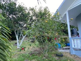 Air-Conditioned Cozy 3 Bedroom House in Grenville Vale - - 2