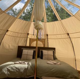 Luxe Glamping tent met sterrenhemel - Rijsenhout - 0