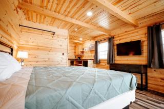 Stunning Wooden Cabin Nestled Amidst Trees in Rapid City, South Dakota - 9