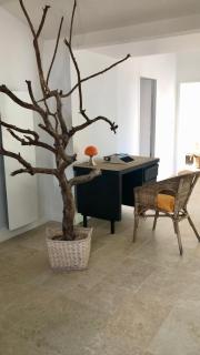Gite de charme trois chambres au pied des marais grand jardin - LʼÎle-dʼOlonne - 1
