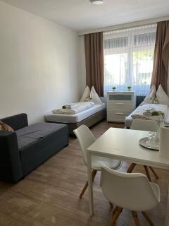 Urban Stay Kremsmünster Studio - Kremsmünster - 7