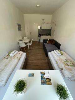 Urban Stay Kremsmünster Studio - Kremsmünster - 0
