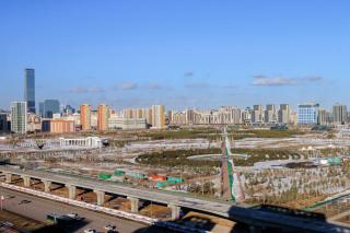 Botanic View Esil Plaza - уютные апартаменты рядом с Ботаническим садом и Ареной - 9