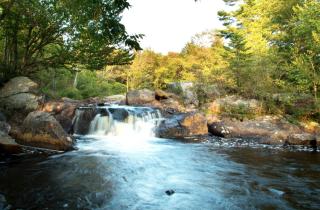 Simple and Spacious Log Cabin Rental on Working Ranch in Adirondacks - 5