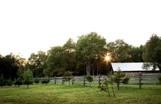 Simple and Spacious Log Cabin Rental on Working Ranch in Adirondacks - 3
