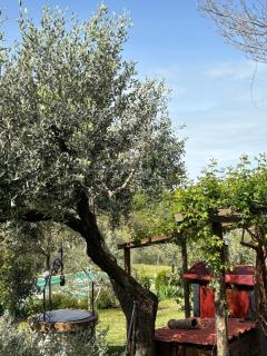 LA CAPANNA Casale in pietra con piscina - Sasso dʼOmbrone - 8