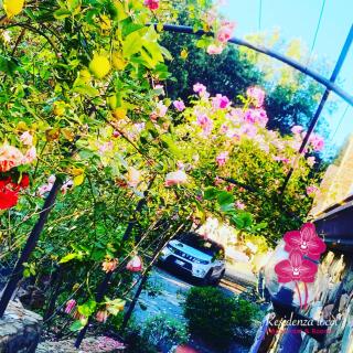 Residenza Locci - Aparthotel & Rooms - Teulada - 8