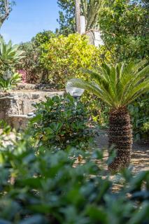 Villa la luna di carta - 2