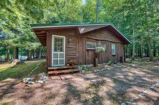 Steps to Lakefront Dog-Friendly Cabin in Levering - Pellston - 9