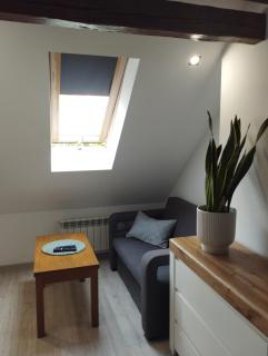 Villa Vip Pokoje Apartament - Gniezno - 6