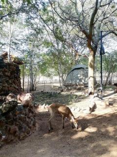 Camp Maguni - - 4