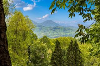 Rocky Stream Lodge - Sevierville - 6