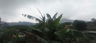 Misty Horizon Villa - 9