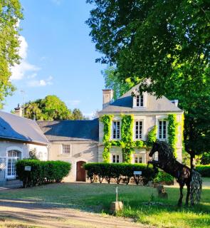 Chambres d'hôtes du domaine de l'Isle - Civray-de-Touraine - 0