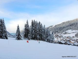 Studio ski au pied rénové, balcon, piscine, parking - FR-1-598-131 - Les Gets - 2