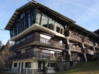 Studio ski au pied rénové, balcon, piscine, parking - FR-1-598-131 - Les Gets - 1