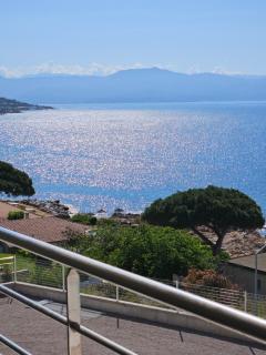 Chez Vicky - Ajaccio - 5