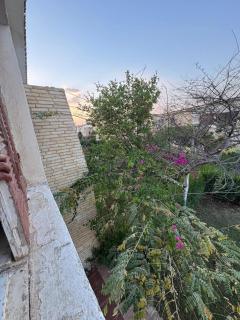 فيلا الجناين - - 4
