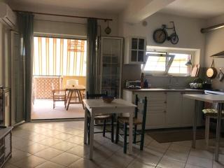 Casa Gorilla - Sabaudia - 9