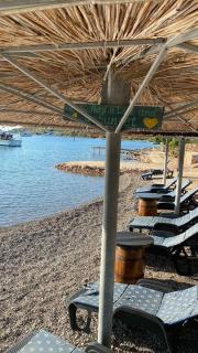 Strandhaus Danica Bain Mit Pool Und Frühstück - Pristanišće - 3