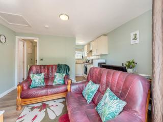 Robin Cottage - Llandeilo - 7