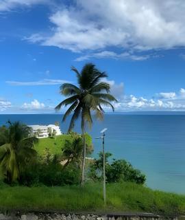 Coastal Charm 1-302 - Punta Balandra - 9