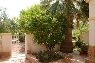 Ferienhaus Olivos 8 Mit Gemeinschaftlichem Pool - Los Urrutias - 0