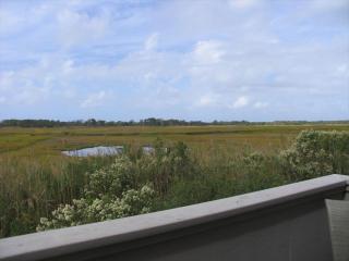 402 St, James Place - Cape May - 9