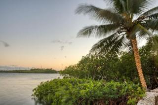 Luxurious Key Largo Oceanfront 3 Bed 3 5 Bath suite - Jewfish - 8