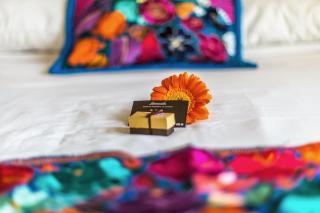 Riviera del Sol Amazing Double Queen Junior Suite 103 - Playa del Carmen - 0