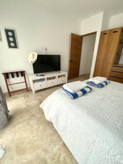 Amazing new comfy apartment steps from the beach - Puerto Morelos - 7