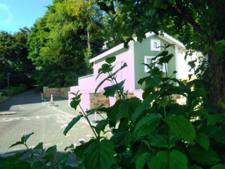 Ferienhaus in Bad Marienberg Westerwald mit Terrasse und Grill - Bad Marienberg - 9