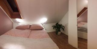 Dachgeschossferienwohnung In Ruhiger Lage, Mit Gartenterrasse Und Gartenhaus - Gammelby - 2